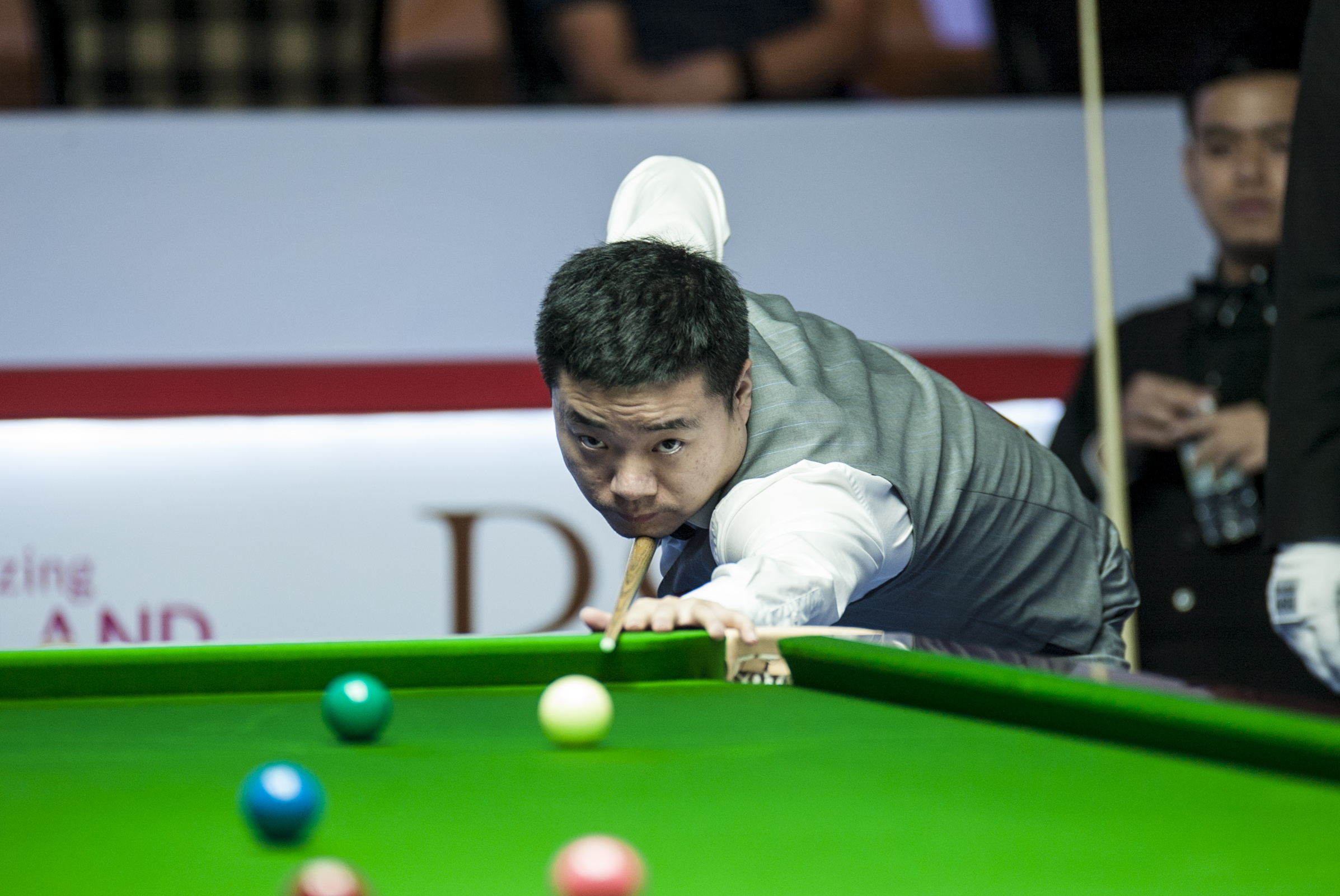 新上的努力 新上的努力