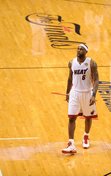 子网球的新 子网球的新