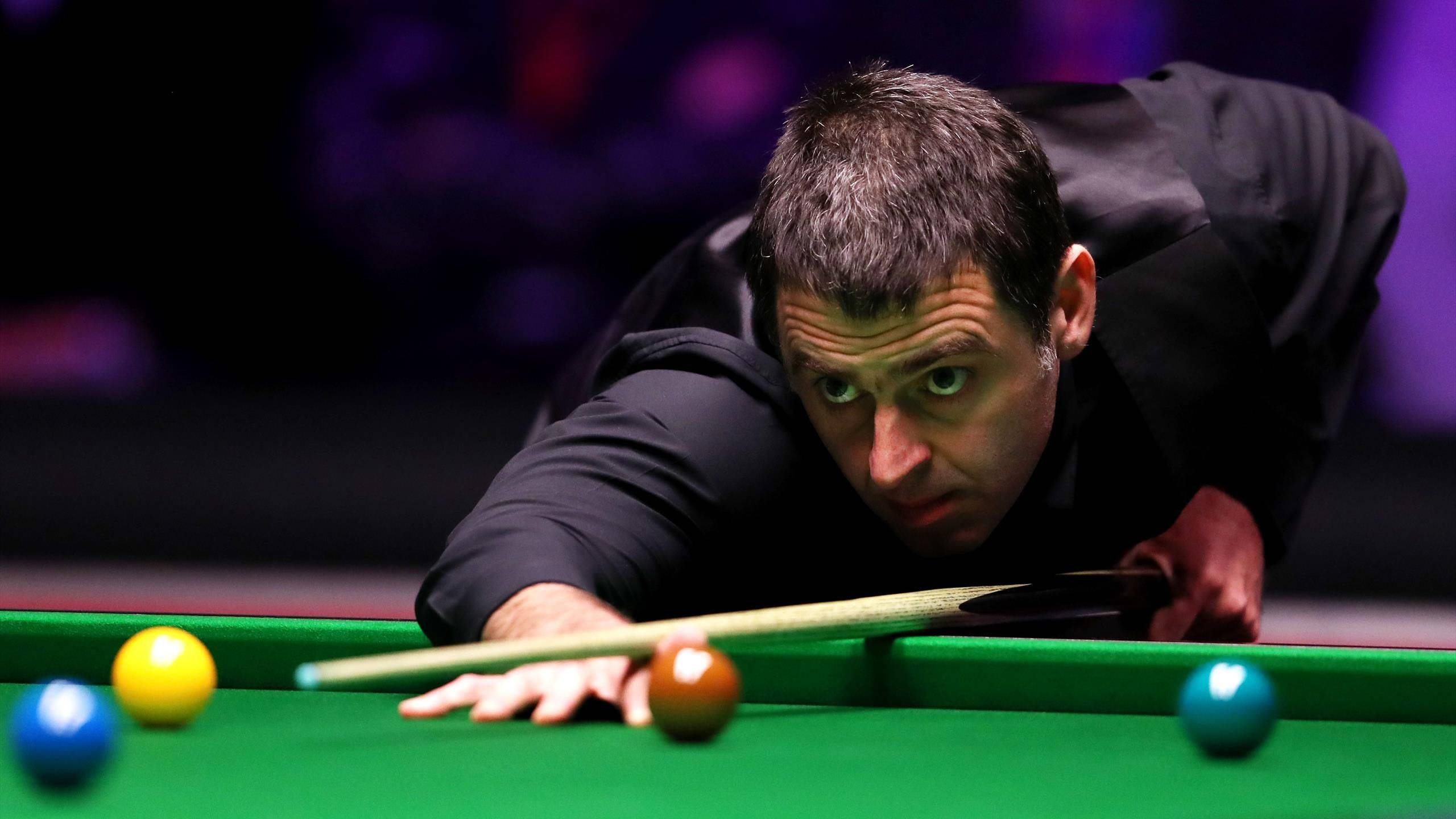 了安赛龙的 了安赛龙的