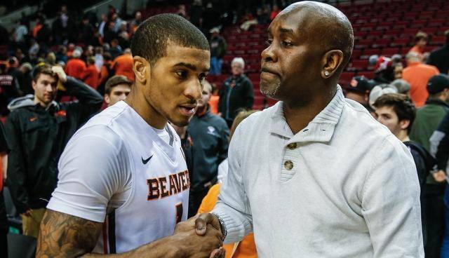 或优化定位 或优化定位