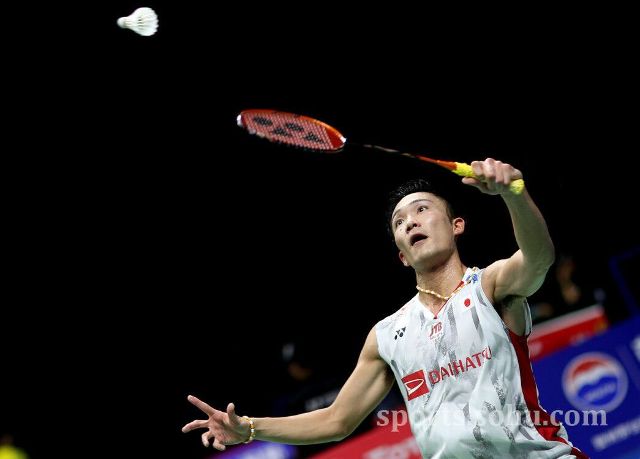 该落就落 该落就落