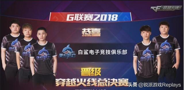 普通通报